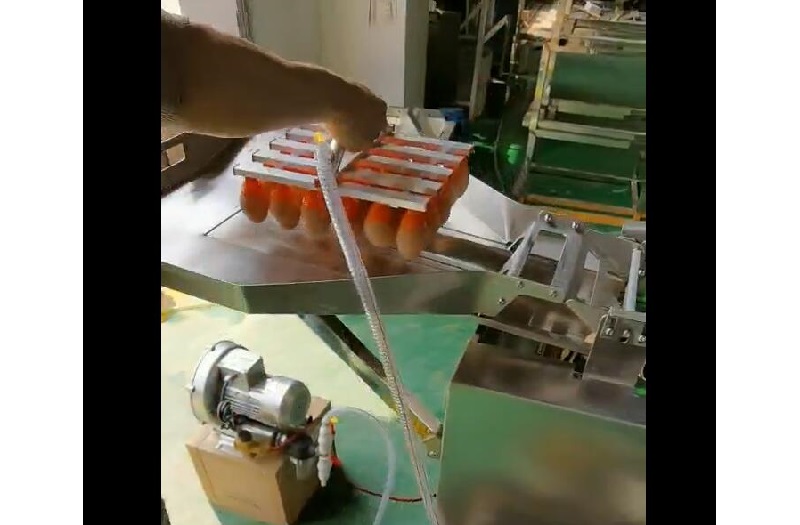 08-真空吸盤上蛋機(jī)-雙排敲蛋-蛋清蛋黃分離機(jī)