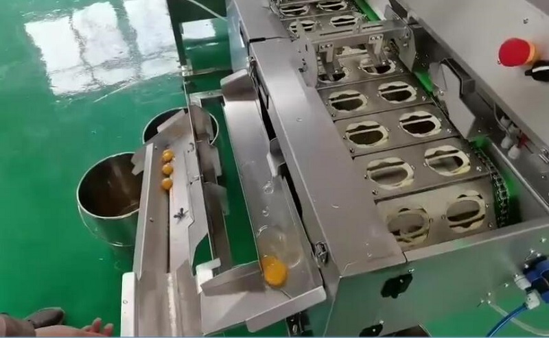 蛋清蛋黃分離器外掛雙排敲蛋機——現(xiàn)場實拍圖