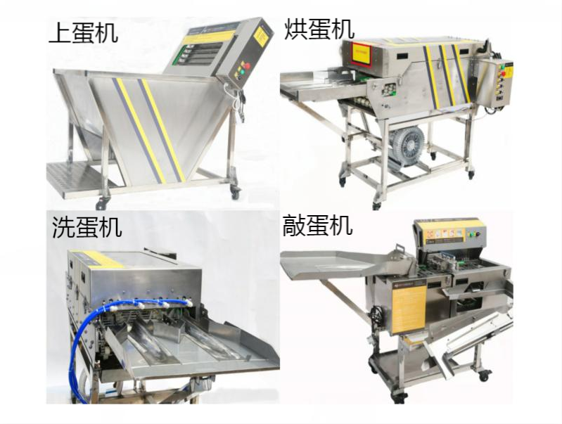 上蛋機+烘蛋機+洗蛋機+敲蛋機